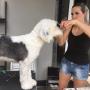 Ramona Ganster-mobiler Hundefriseur in Ludersdorf