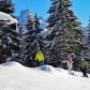 Schneeschuhwandern im Lammertal Schneeschuhwandern im Lammertal