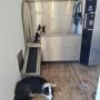 DOG WASH Hundewaschanlage