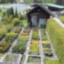 Gartenprofi Haslacher in Lurnfeld