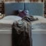 Apartment_Bett