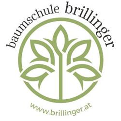 Baumschule Brillinger GmbH