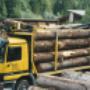 Stark Transporte 6733 Fontanella