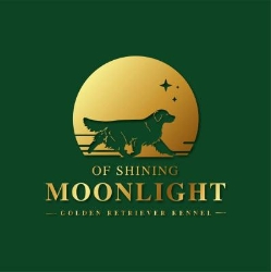 Golden Retriever Kennel of Shining Moonlight