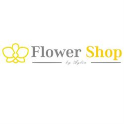 FlowerShop by Aylin