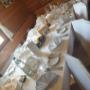 # 43