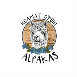Hoamat G`fühl Alpakas - Familie Matt