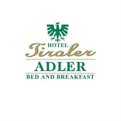 Hotel Tiroler ADLER - bed and breakfast in Waidring