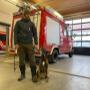 Durch unsere Sucharbeit mit den Hunden arbeiten wir intensiv mit den verschiedensten Blaulichtorganisationen zusammen.