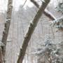 Landschaft