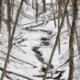 Landschaft