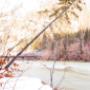 Landschaft