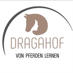 Dragahof Pferdetraining & pferdegestütztes Coaching