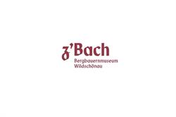 Wildschönauer Bergbauernmuseum Bach