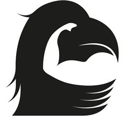 SAVE Dach GmbH