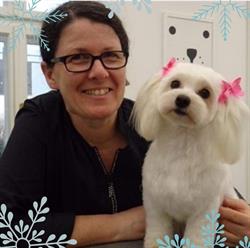 Lieblingshunde Hundesalon e.U.