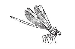 Intraverba e.U.
