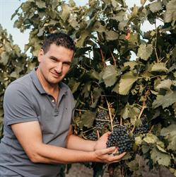 Weingut Jonny Wegleitner KG