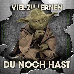 MSDO