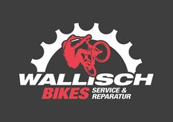 Wallisch Bikes Service & Reparatur