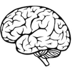 We Brain GmbH