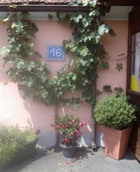 Gasthaus Gasthaus Ackerl