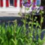 Kastaniengastgarten zum Verweilen