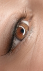 permanent make up lidstrich