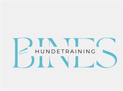 Bines Hundetraining