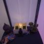 Massagesalon Petra