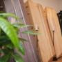 Benu - Bestattung und Vorsorge Benu - Bestattung und Vorsorge