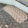 Kostenlose Probefläche