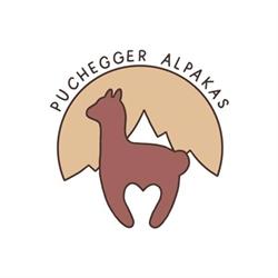 Cornelia Puchegger Alpakas - Alpakawanderungen