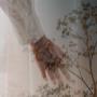 Pinter Bestattung Graz Imagebild
