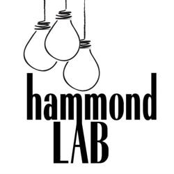 Hammond Lab Cocktailkurse & Teamevents in Wien