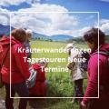 Kräuterkurse