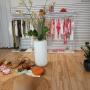 Brigitte Boutique Villach Brigitte Boutique Villach