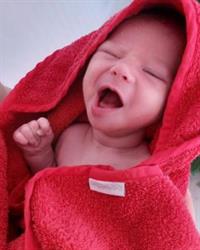 Kuschelchen