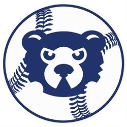 Stock City Cubs