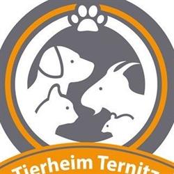 Tierheim Ternitz