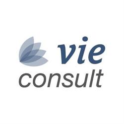 vieconsult GmbH