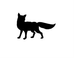 Fuchs Bogensport