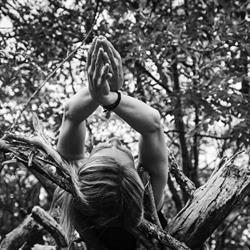 Raum Nussbaum - Yoga/Yogatherapie/Bowen Mödling
