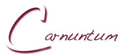 Camerata Carnuntum