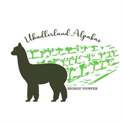 Uhudlerland-Alpakas