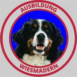 Ausbildung Wiesmadern