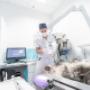 ACC Animal Care & Co GmbH