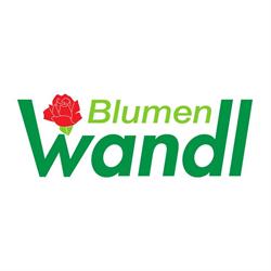 Blumen Wandl - Gärtnerei