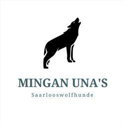 Mingan Una's Saarlooswolfhunde