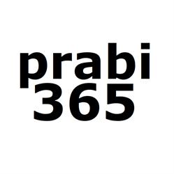 Praschl-Bichler It Consulting - prabi365